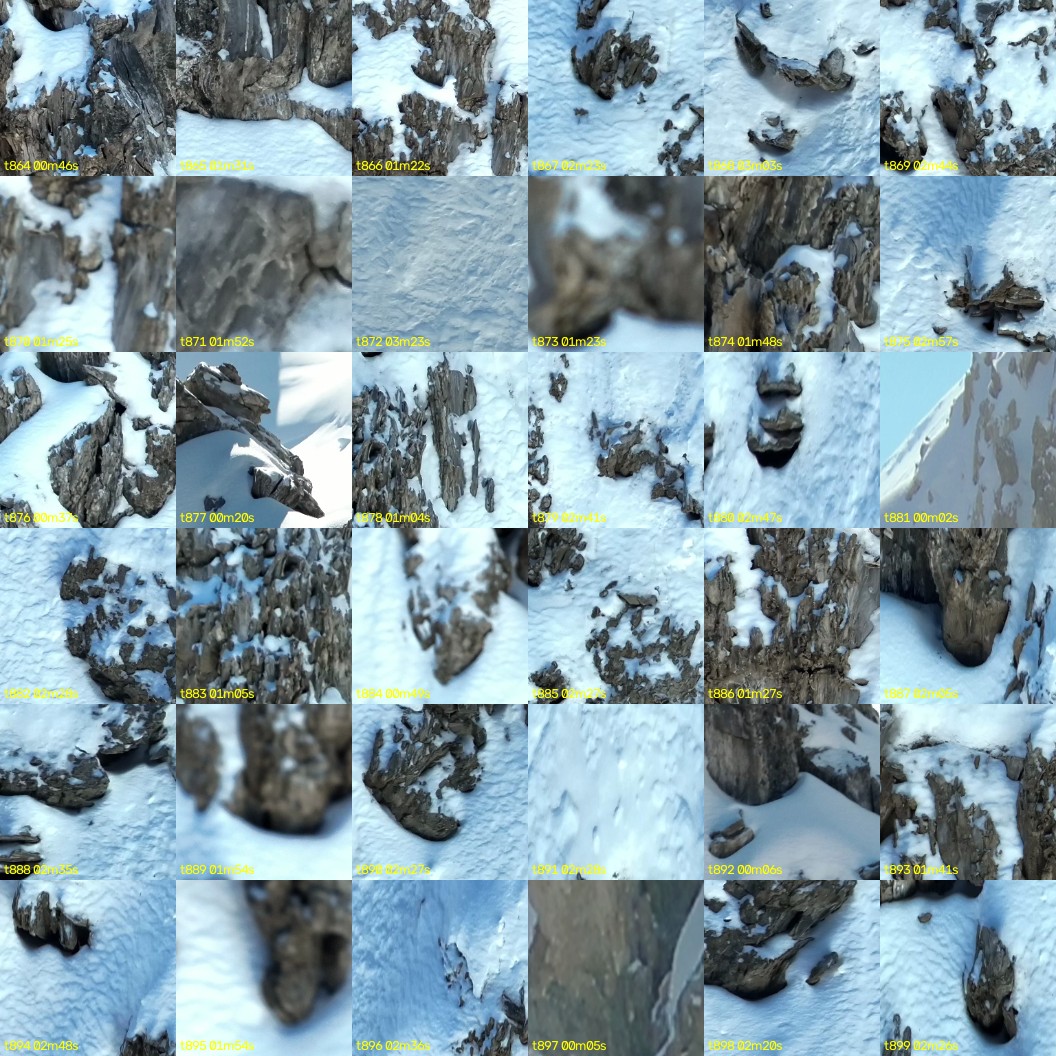 montage_24.jpg
