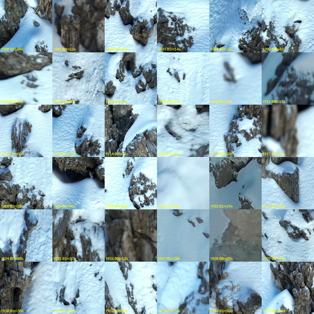 montage_25.jpg