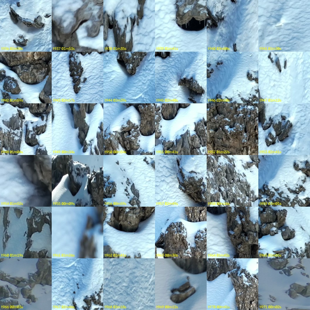 montage_26.jpg