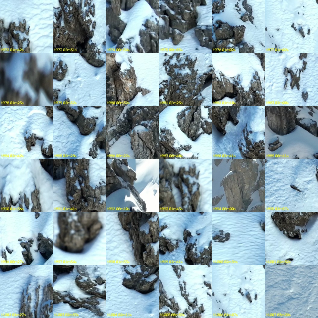 montage_27.jpg