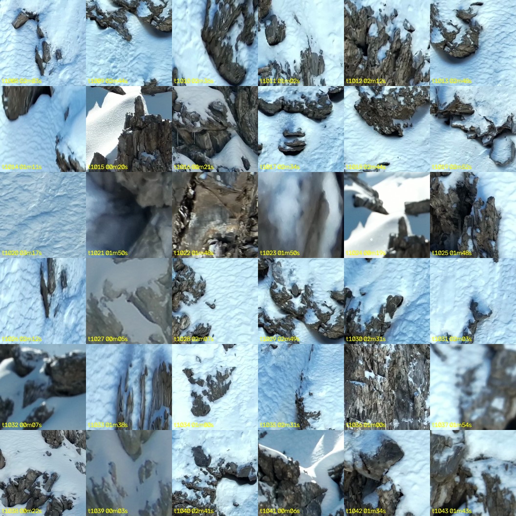montage_28.jpg