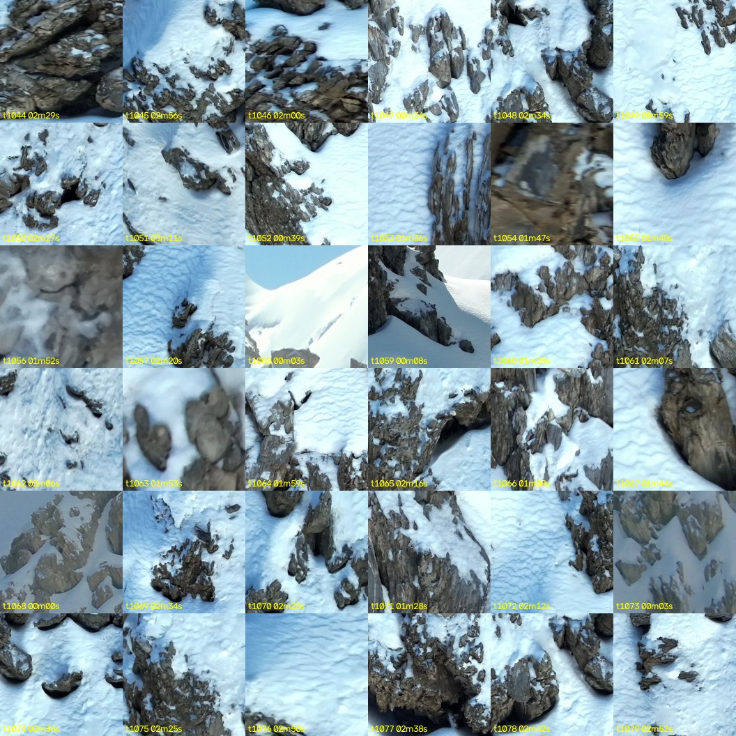 montage_29.jpg