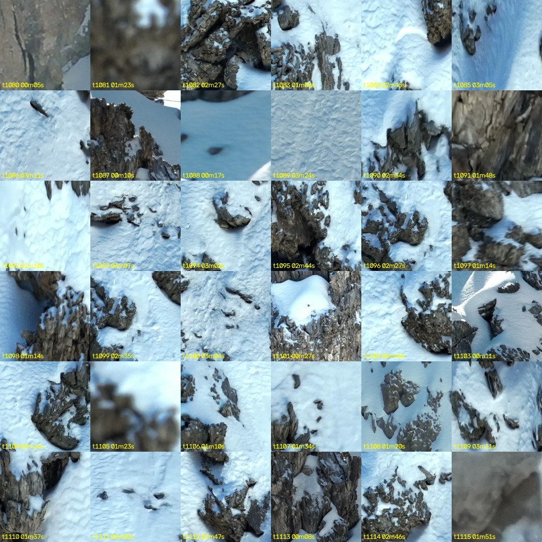 montage_30.jpg