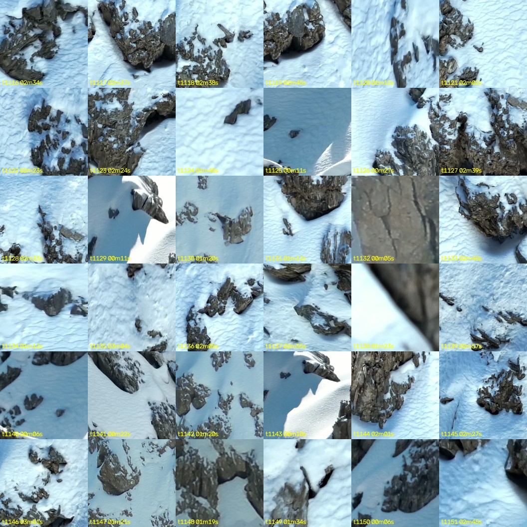 montage_31.jpg