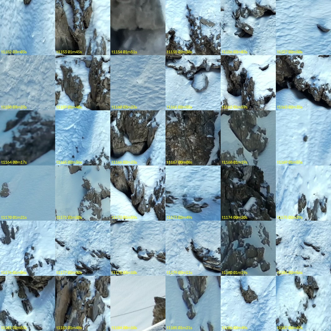 montage_32.jpg