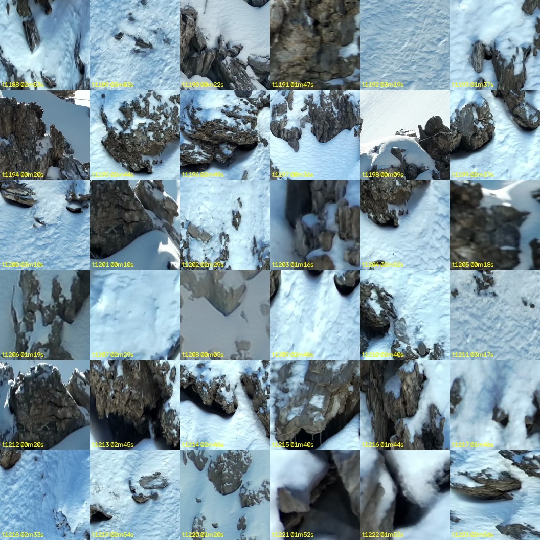 montage_33.jpg