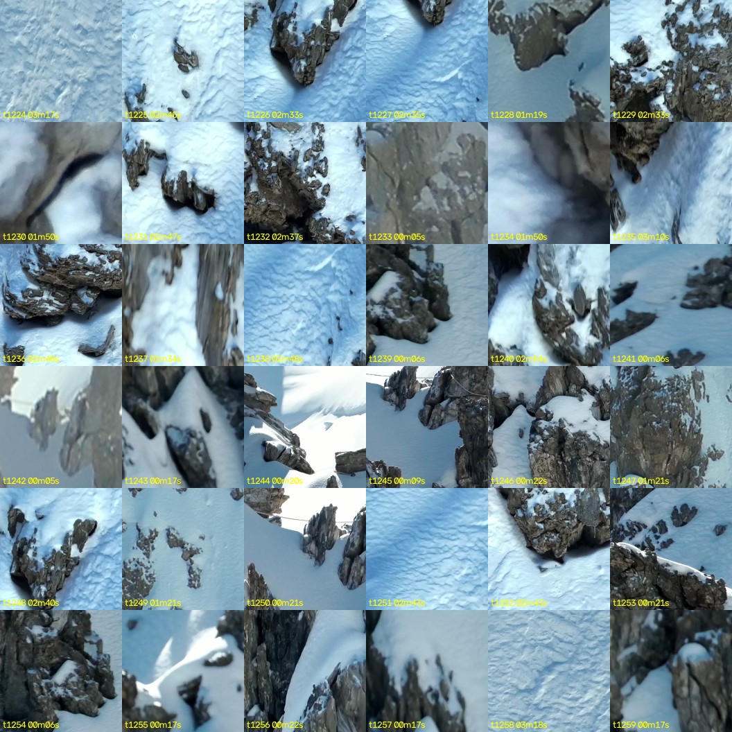 montage_34.jpg