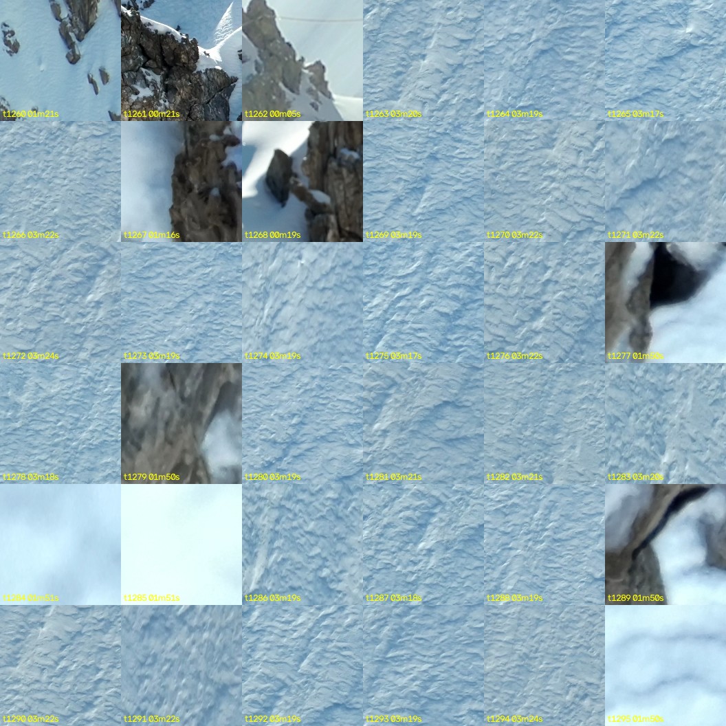 montage_35.jpg