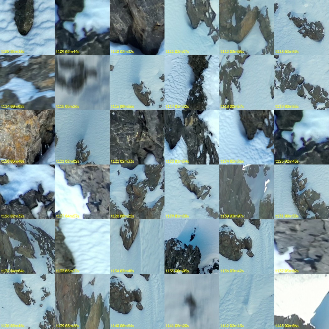 montage_03.jpg