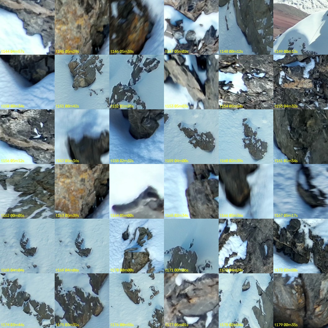 montage_04.jpg