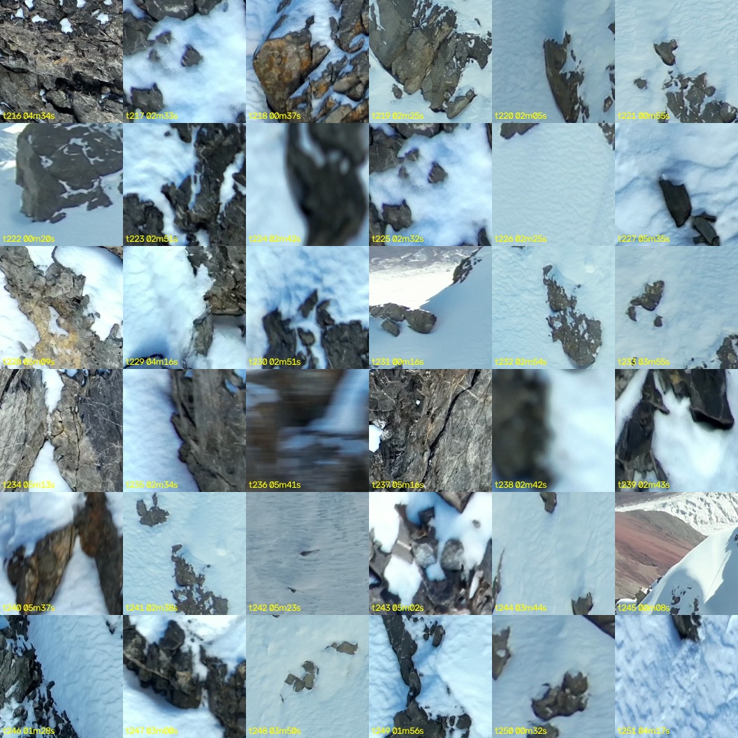 montage_06.jpg