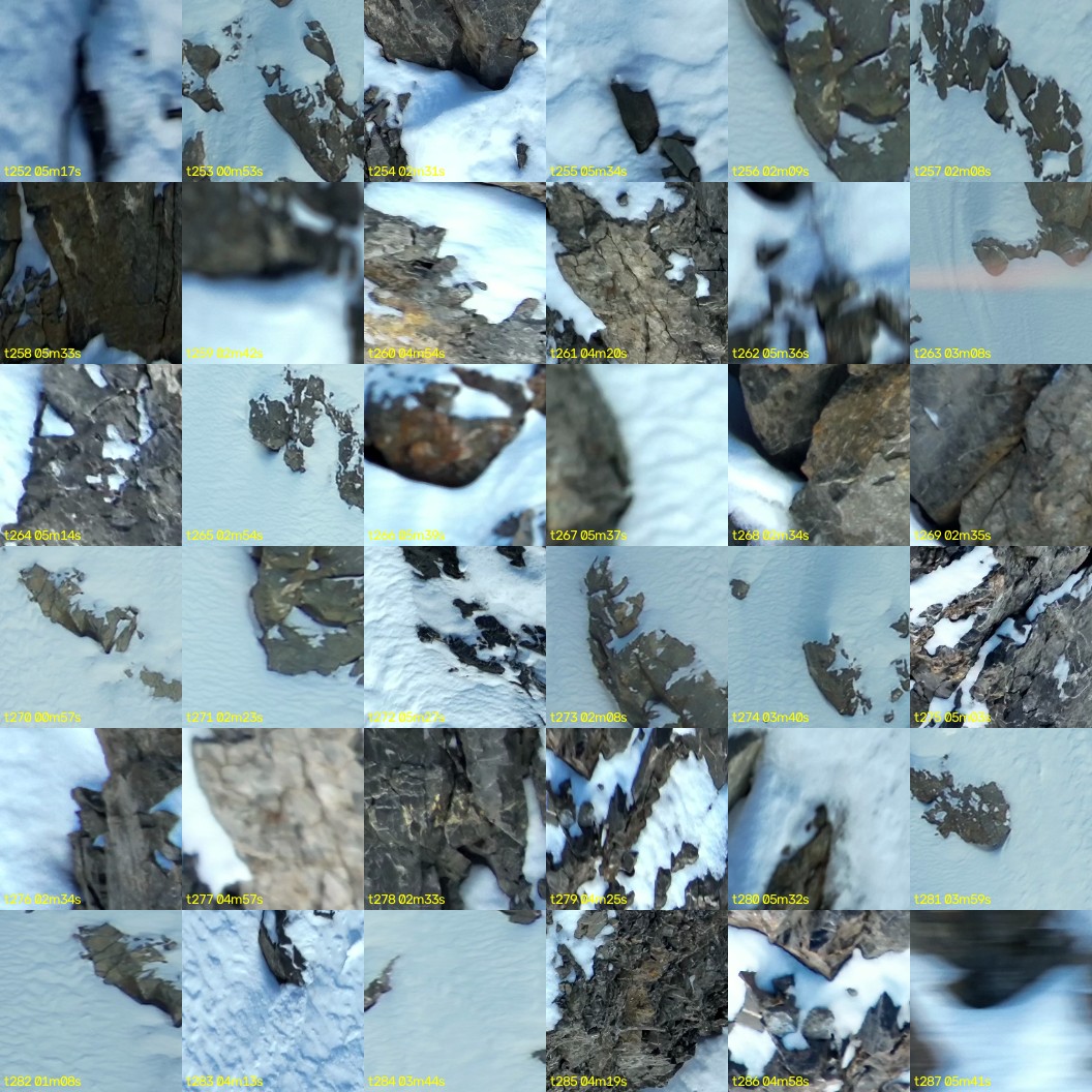 montage_07.jpg