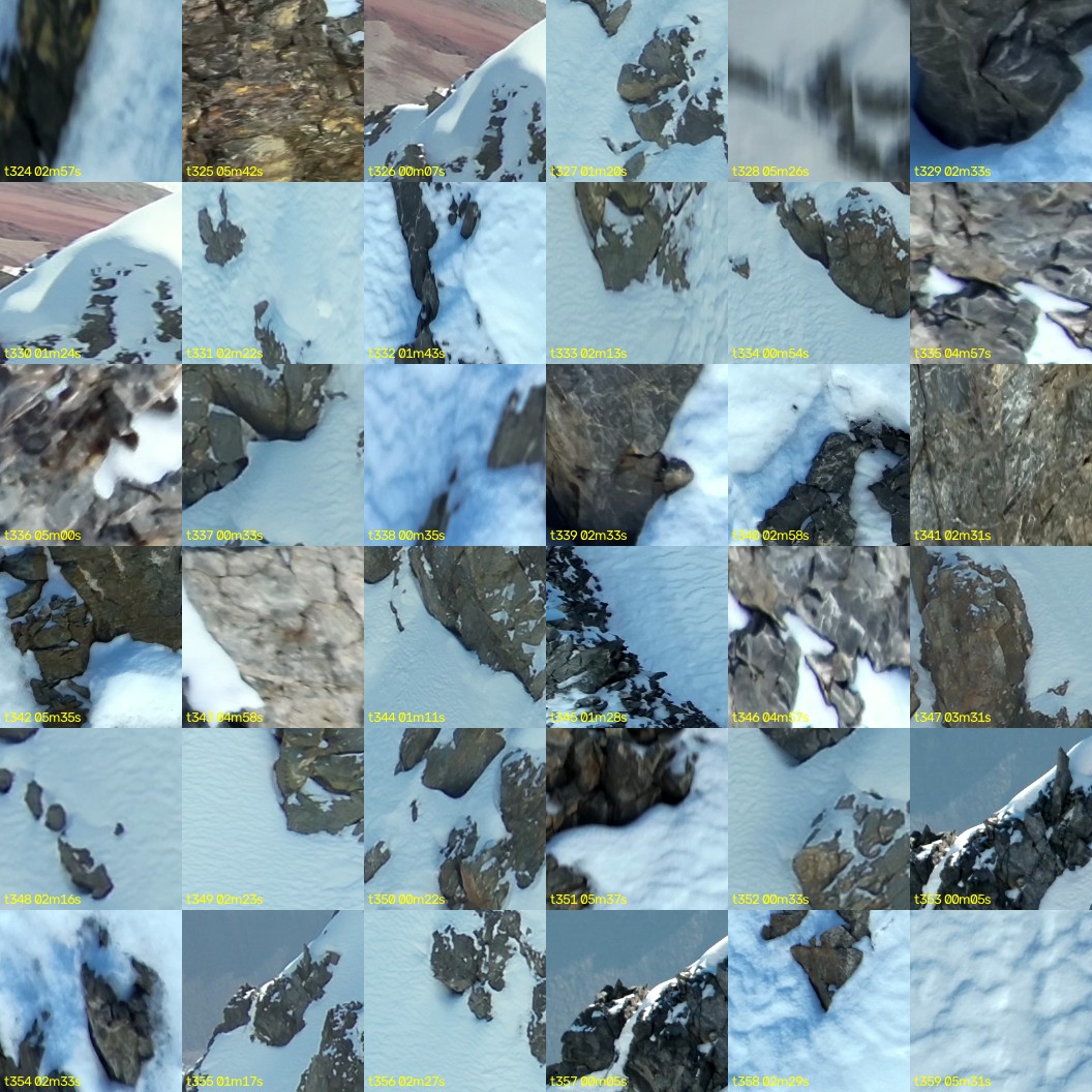 montage_09.jpg