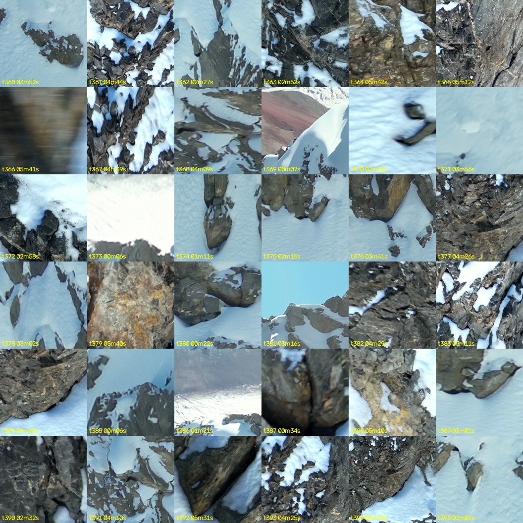montage_10.jpg