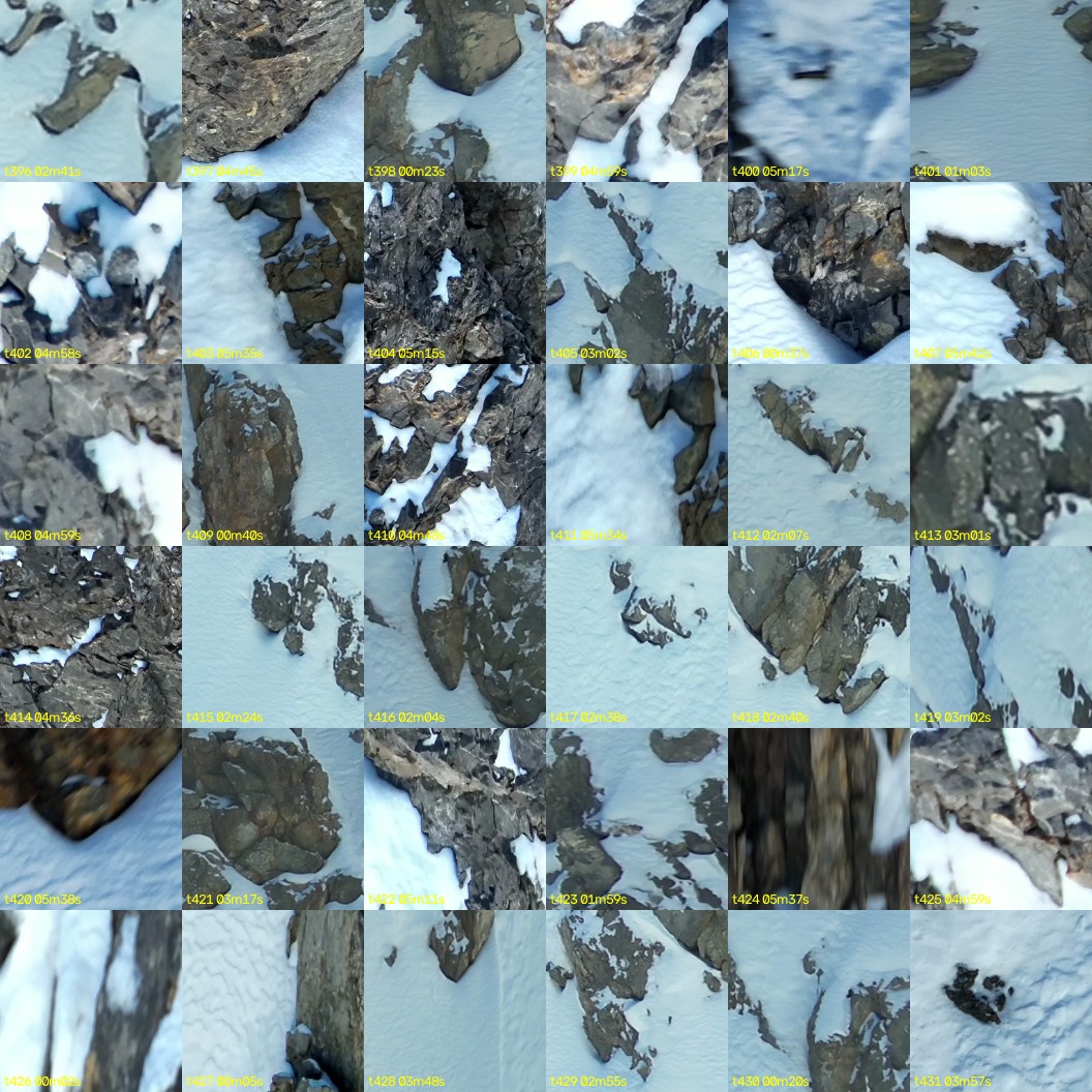 montage_11.jpg