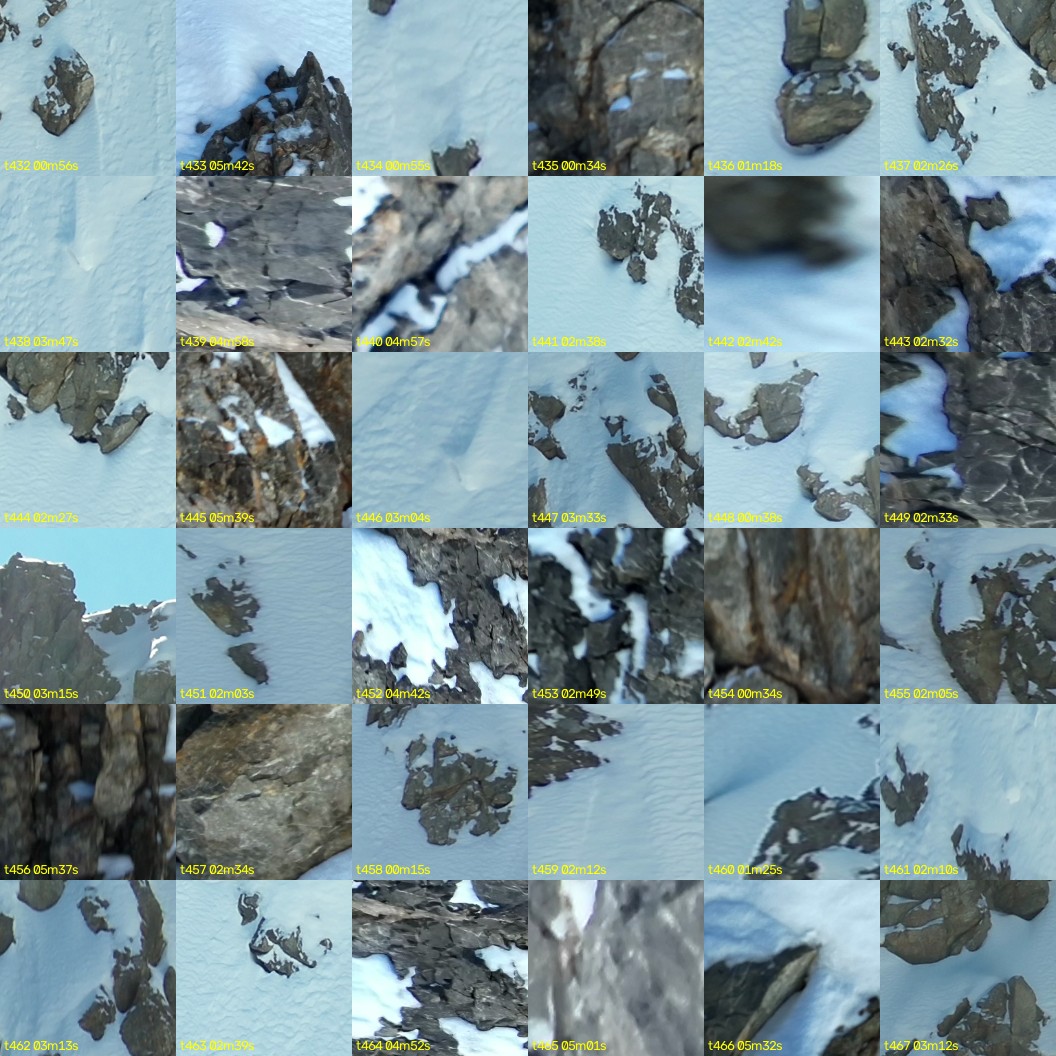 montage_12.jpg