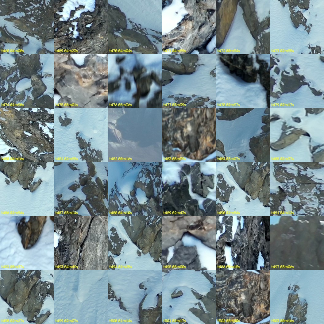 montage_13.jpg