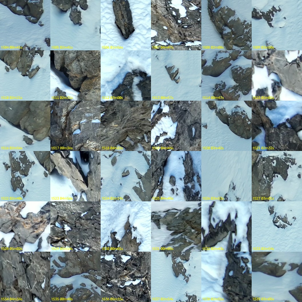 montage_14.jpg