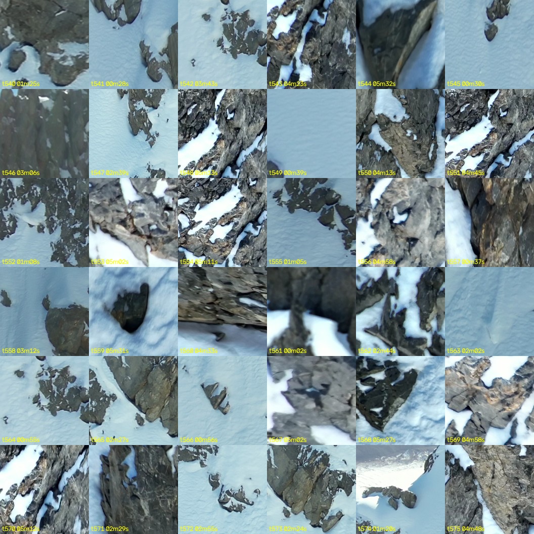 montage_15.jpg