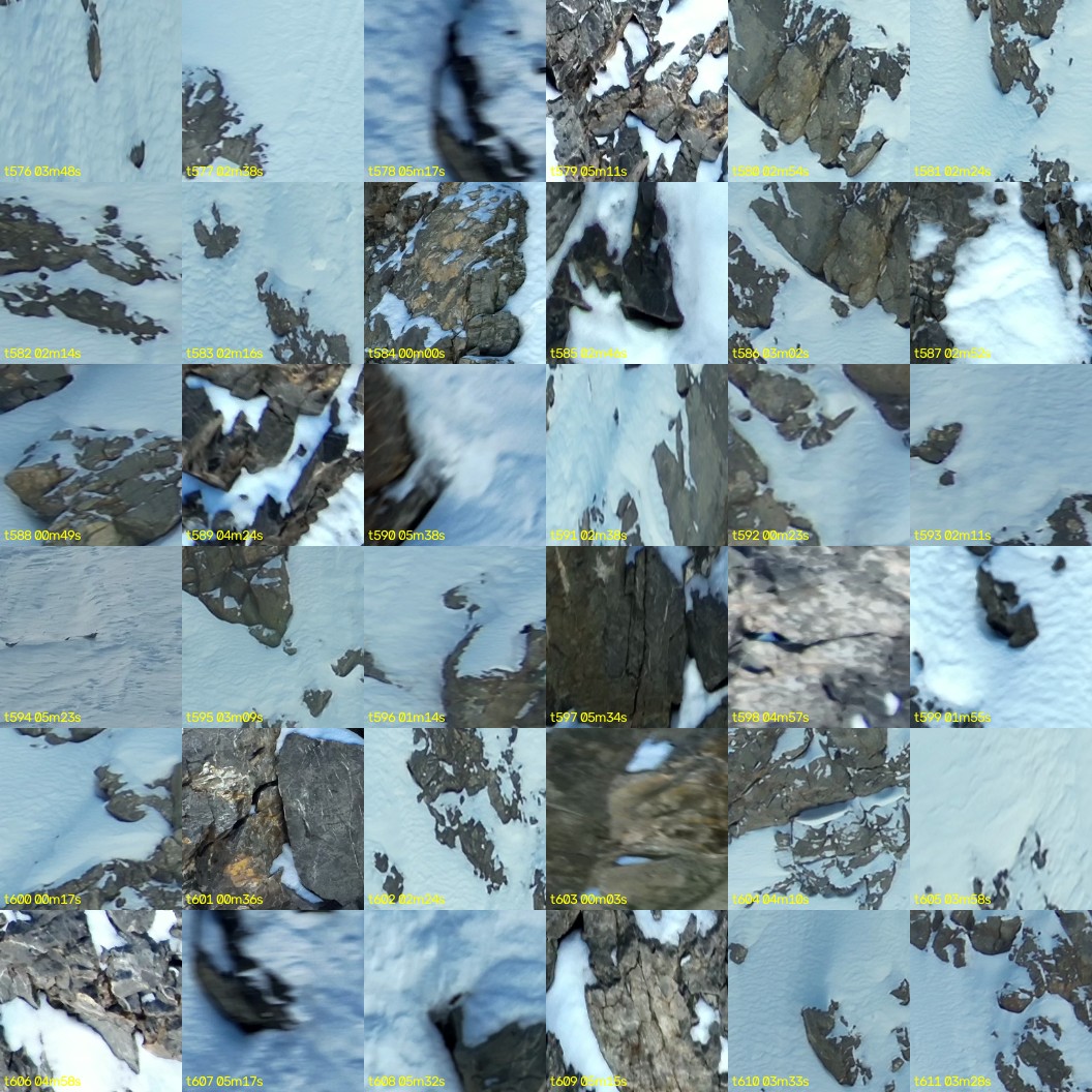 montage_16.jpg