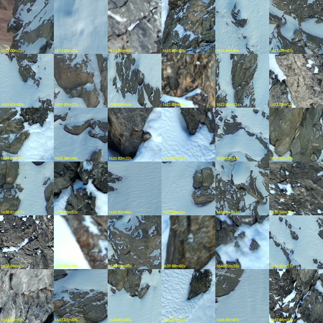 montage_17.jpg