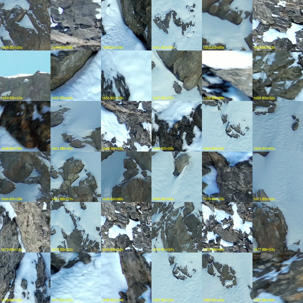 montage_18.jpg