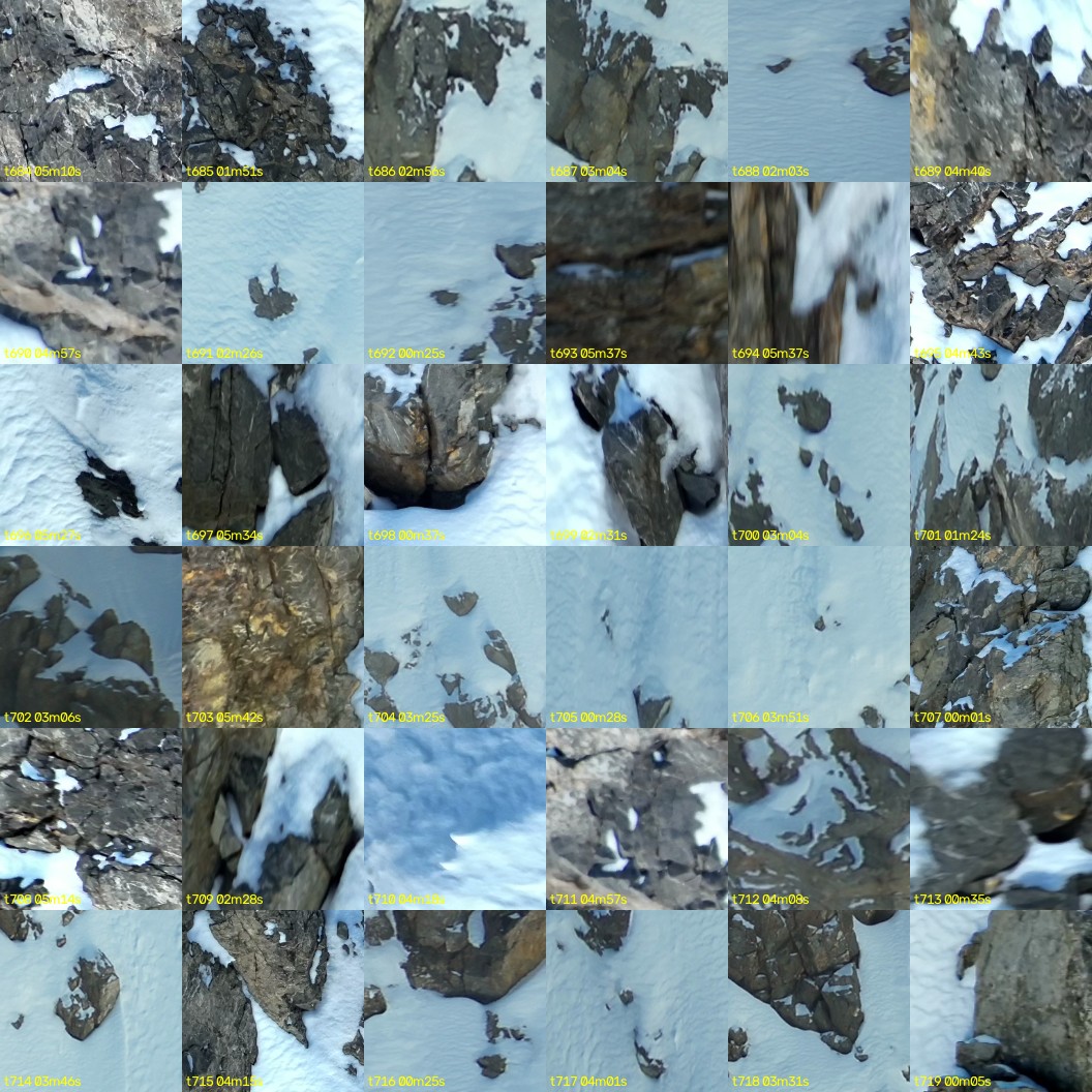montage_19.jpg