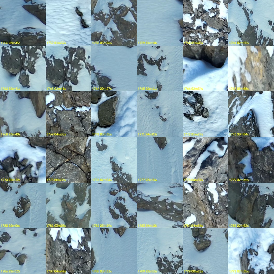 montage_21.jpg