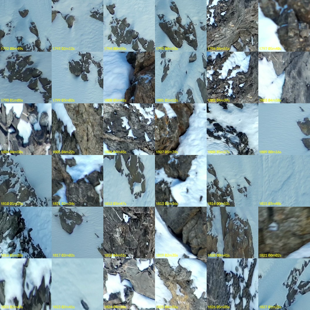 montage_22.jpg