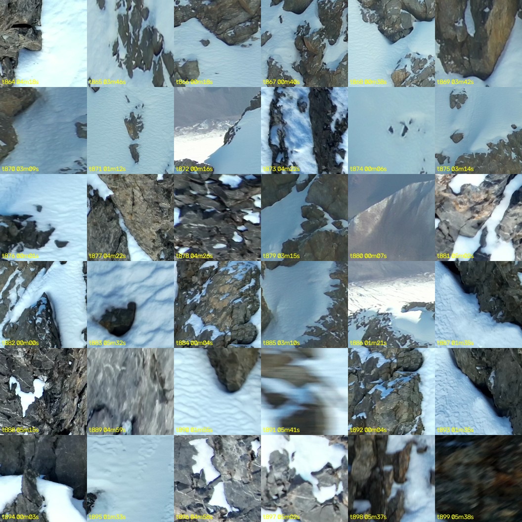 montage_24.jpg