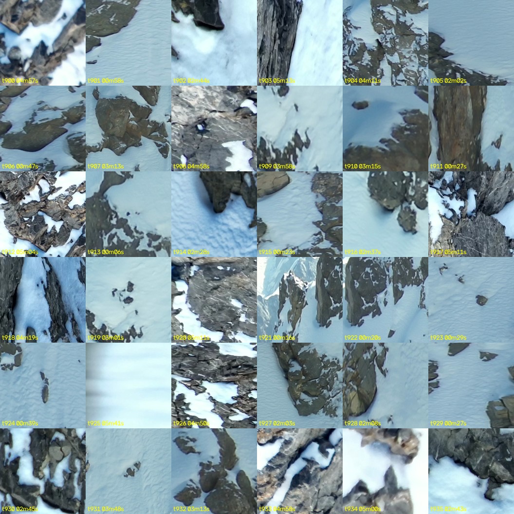 montage_25.jpg