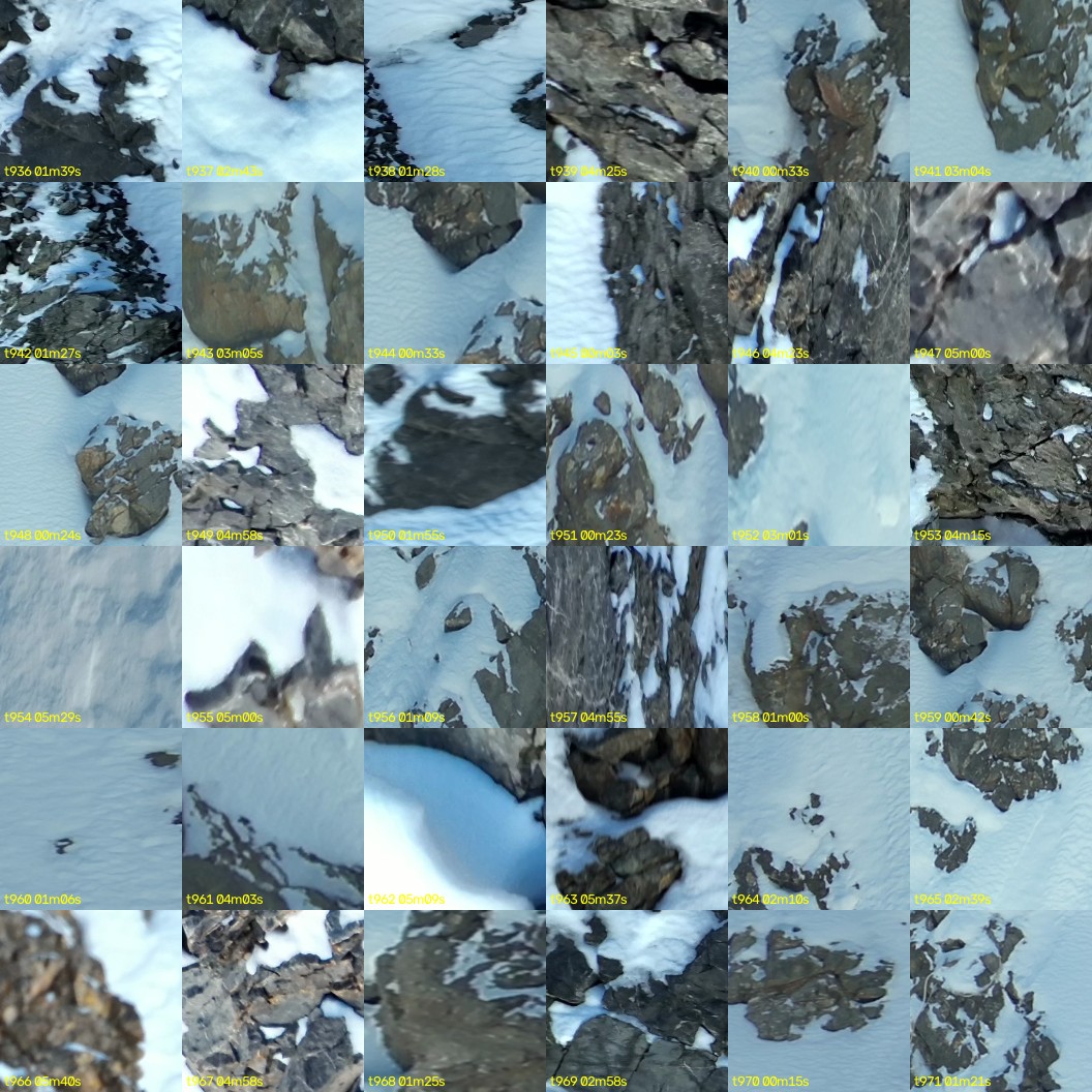 montage_26.jpg