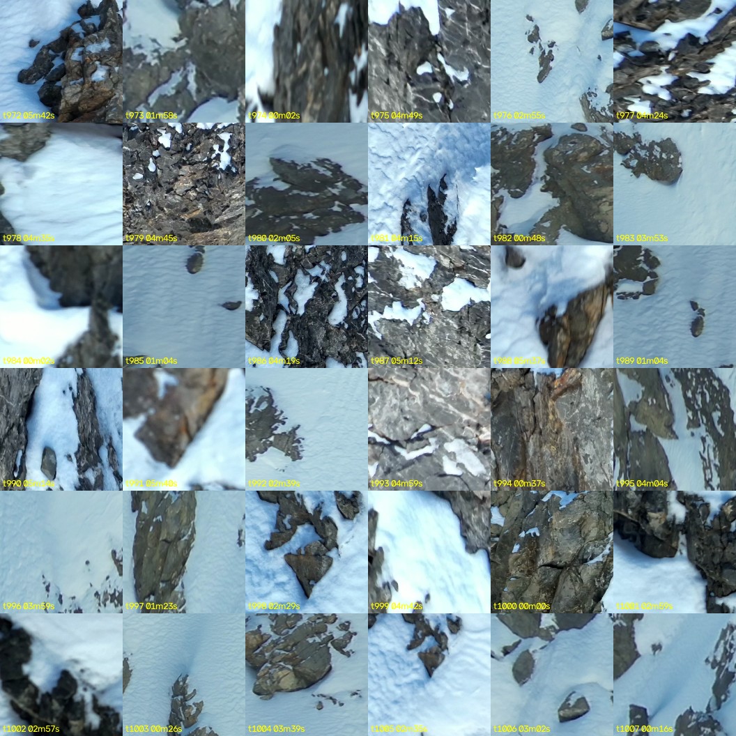 montage_27.jpg