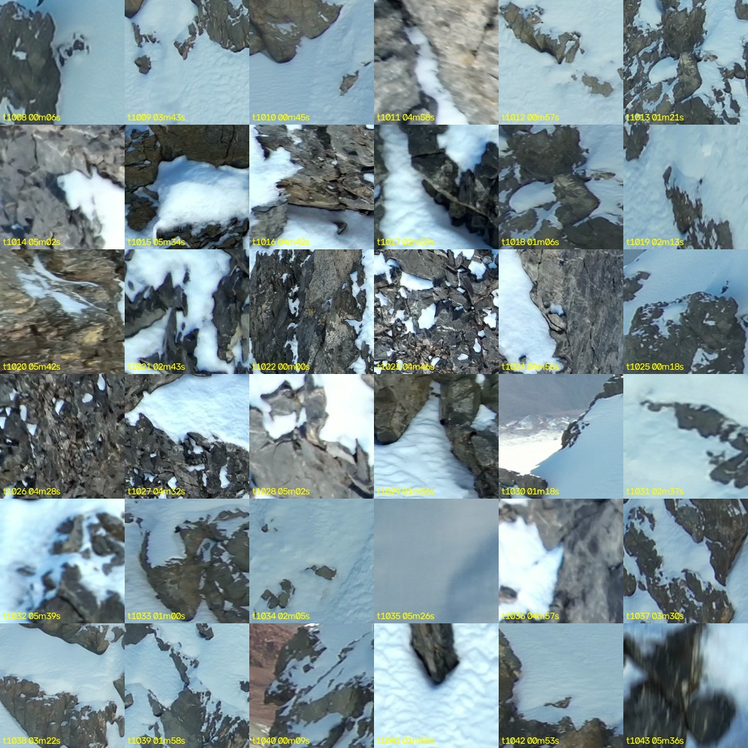 montage_28.jpg