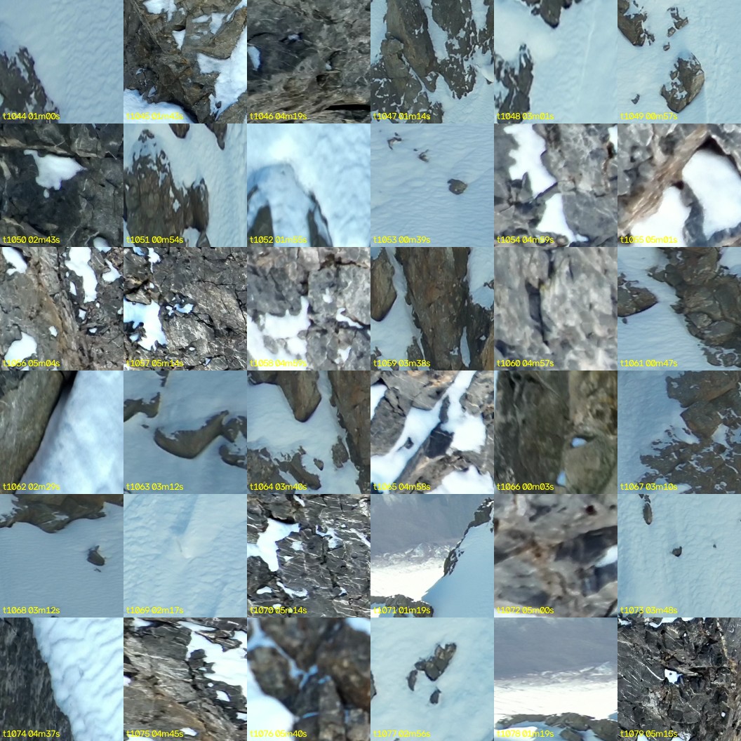 montage_29.jpg