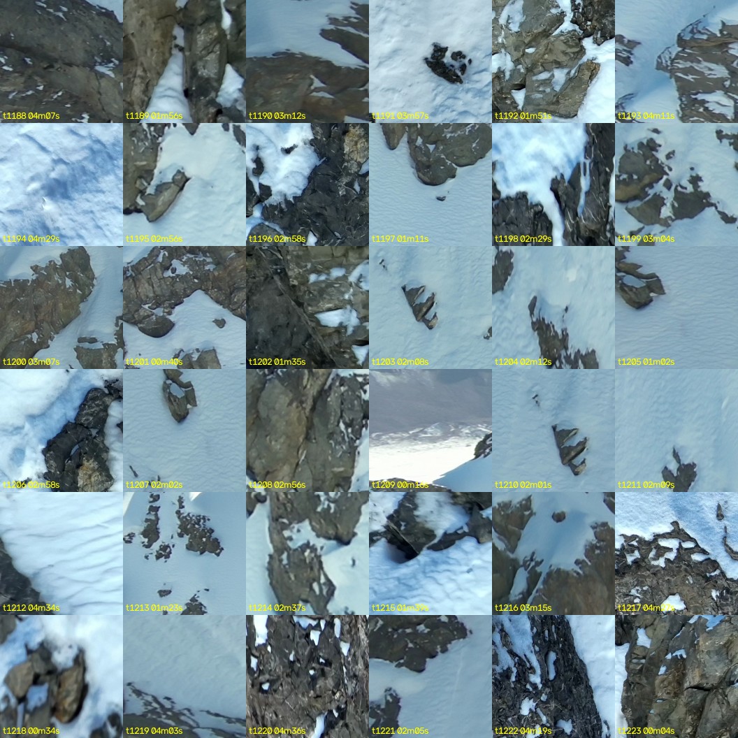 montage_33.jpg