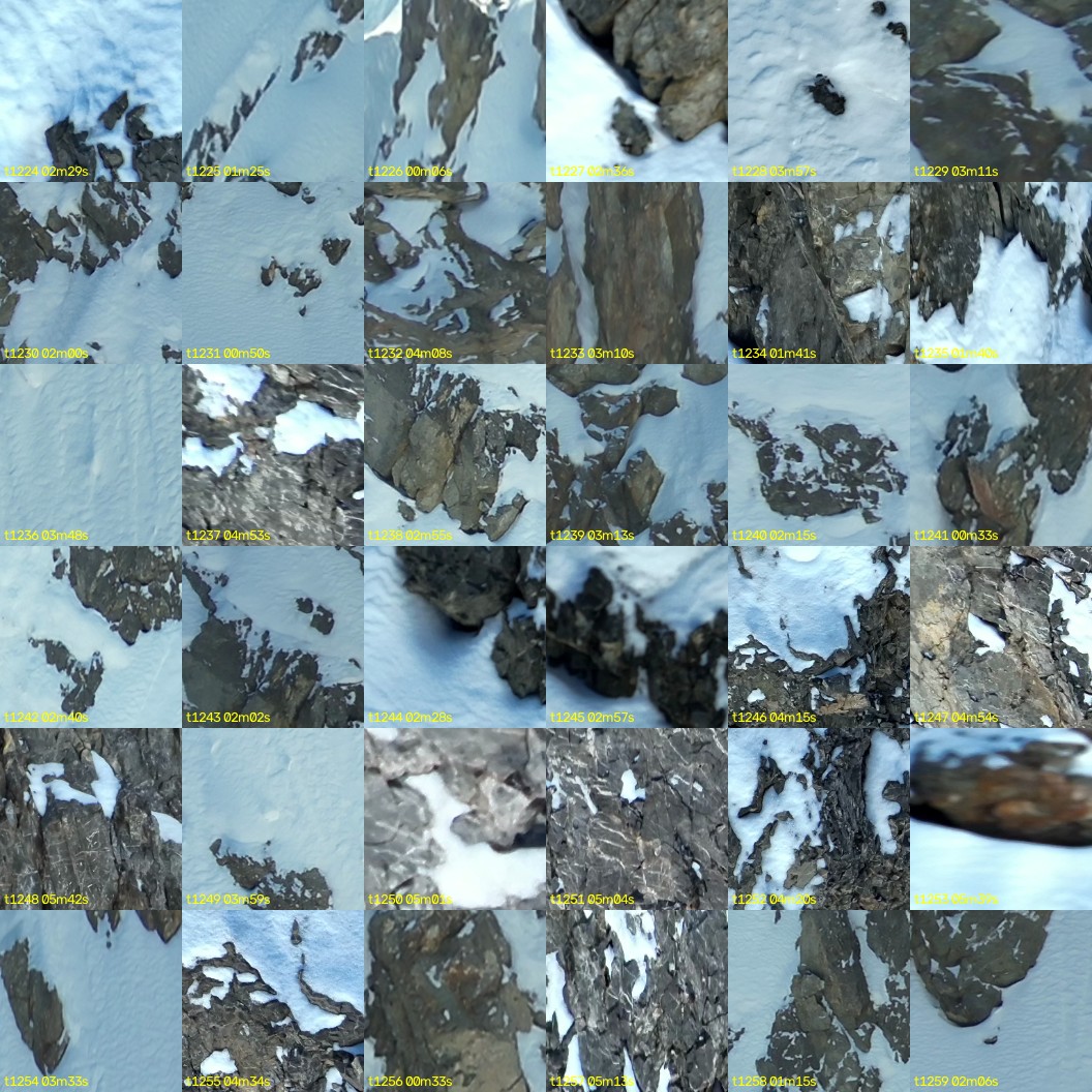 montage_34.jpg