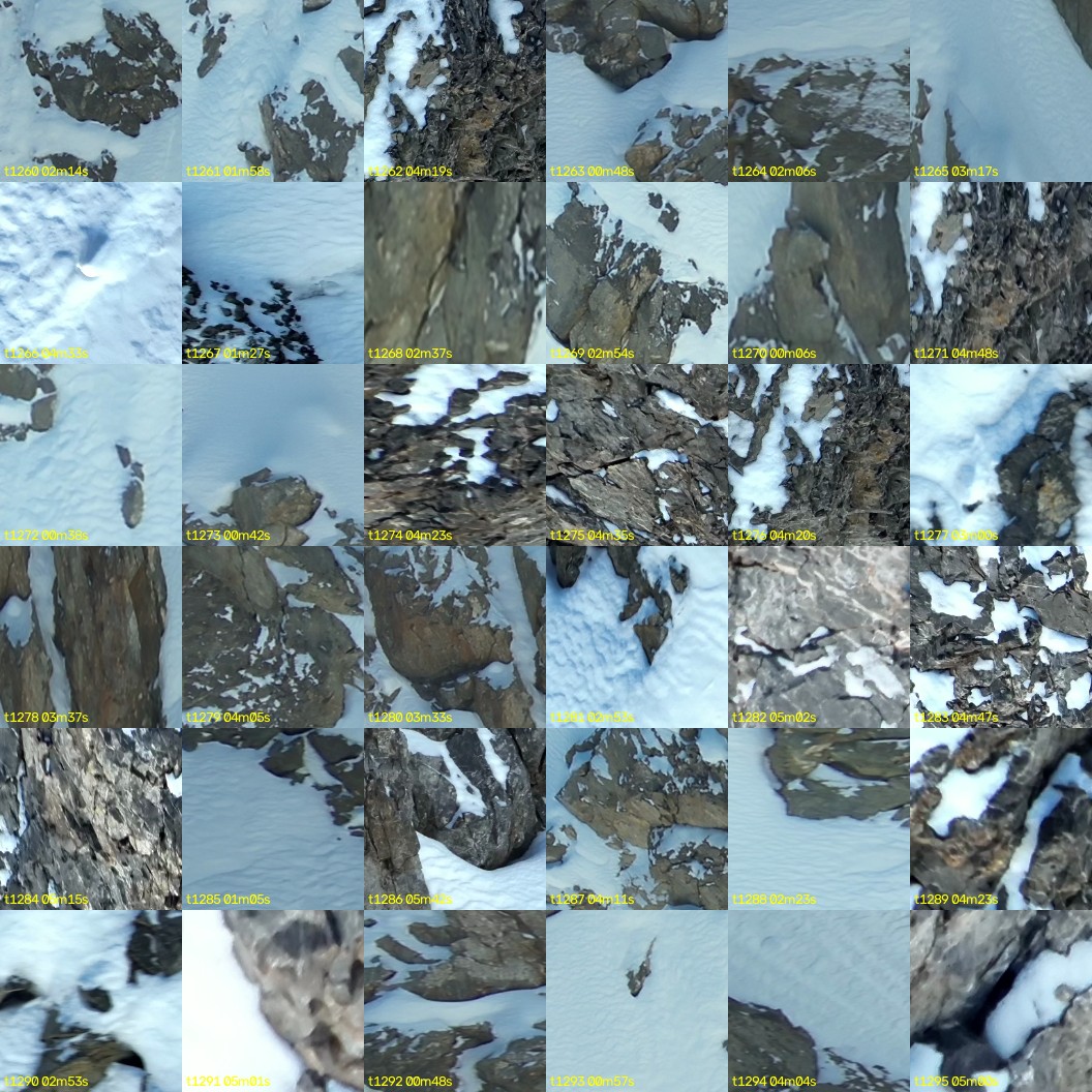 montage_35.jpg