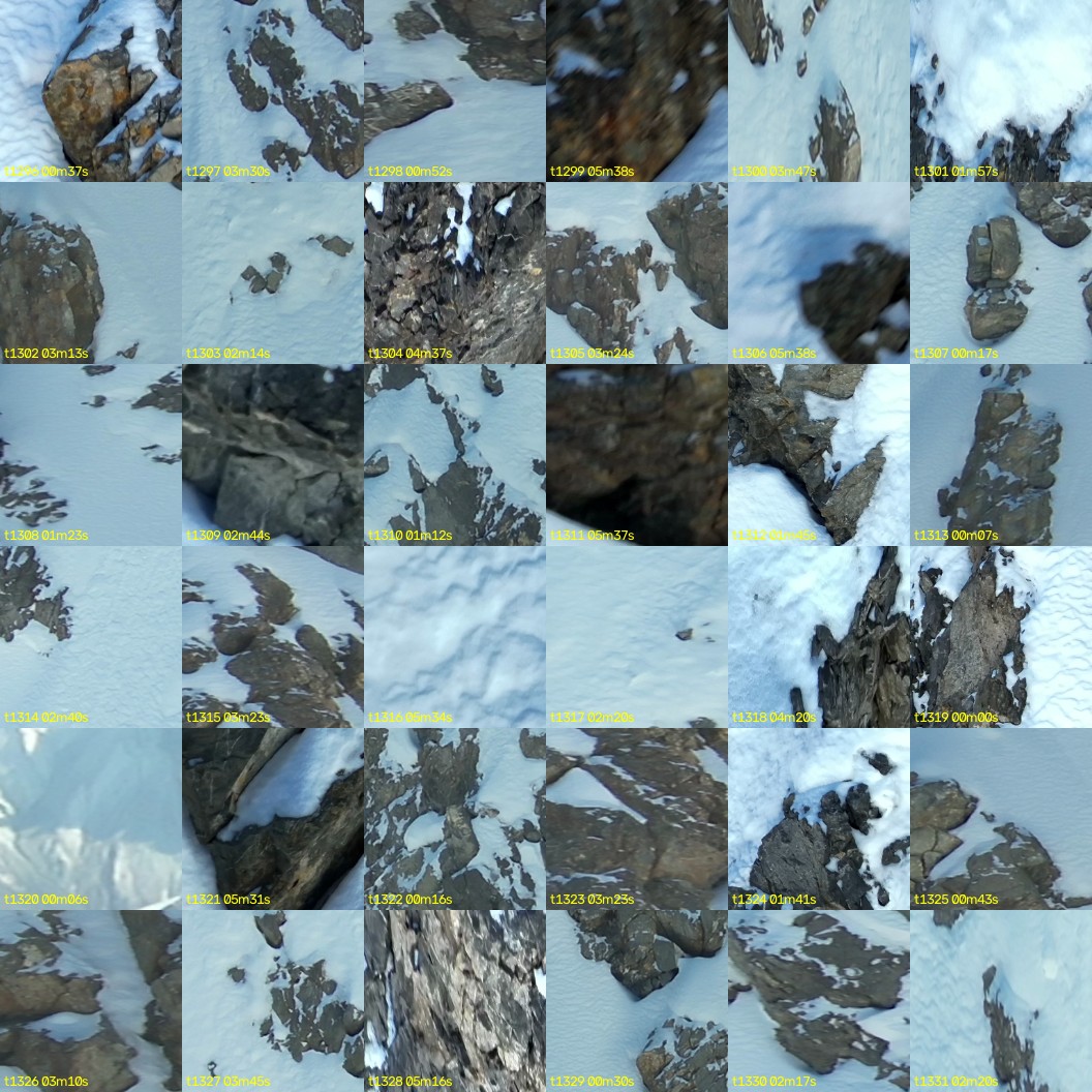 montage_36.jpg