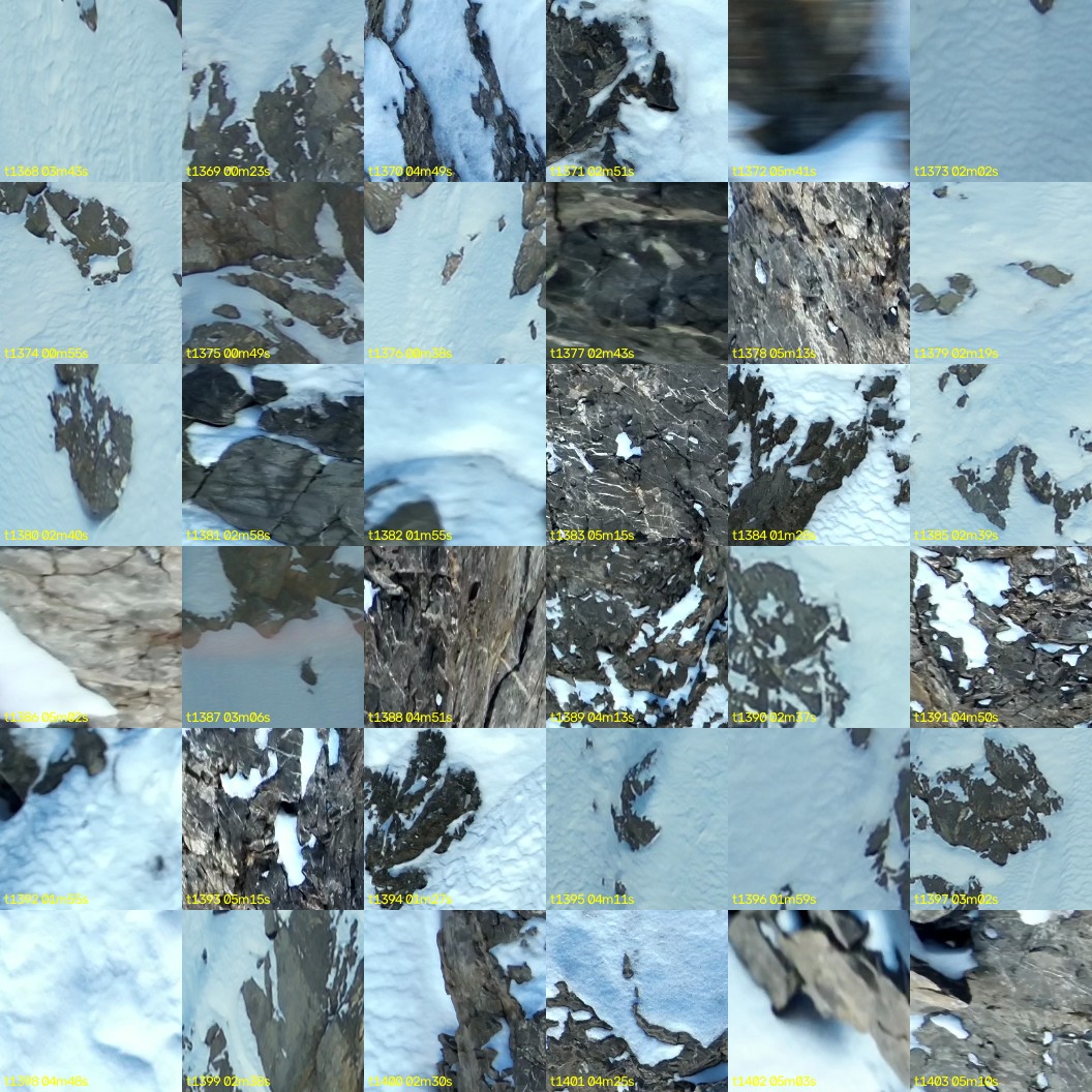 montage_38.jpg