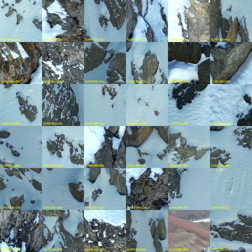 montage_40.jpg