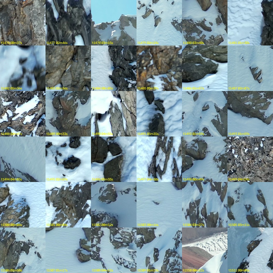 montage_41.jpg