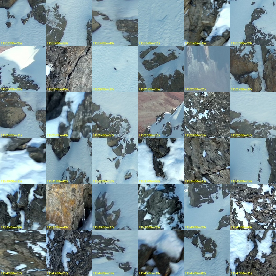 montage_42.jpg
