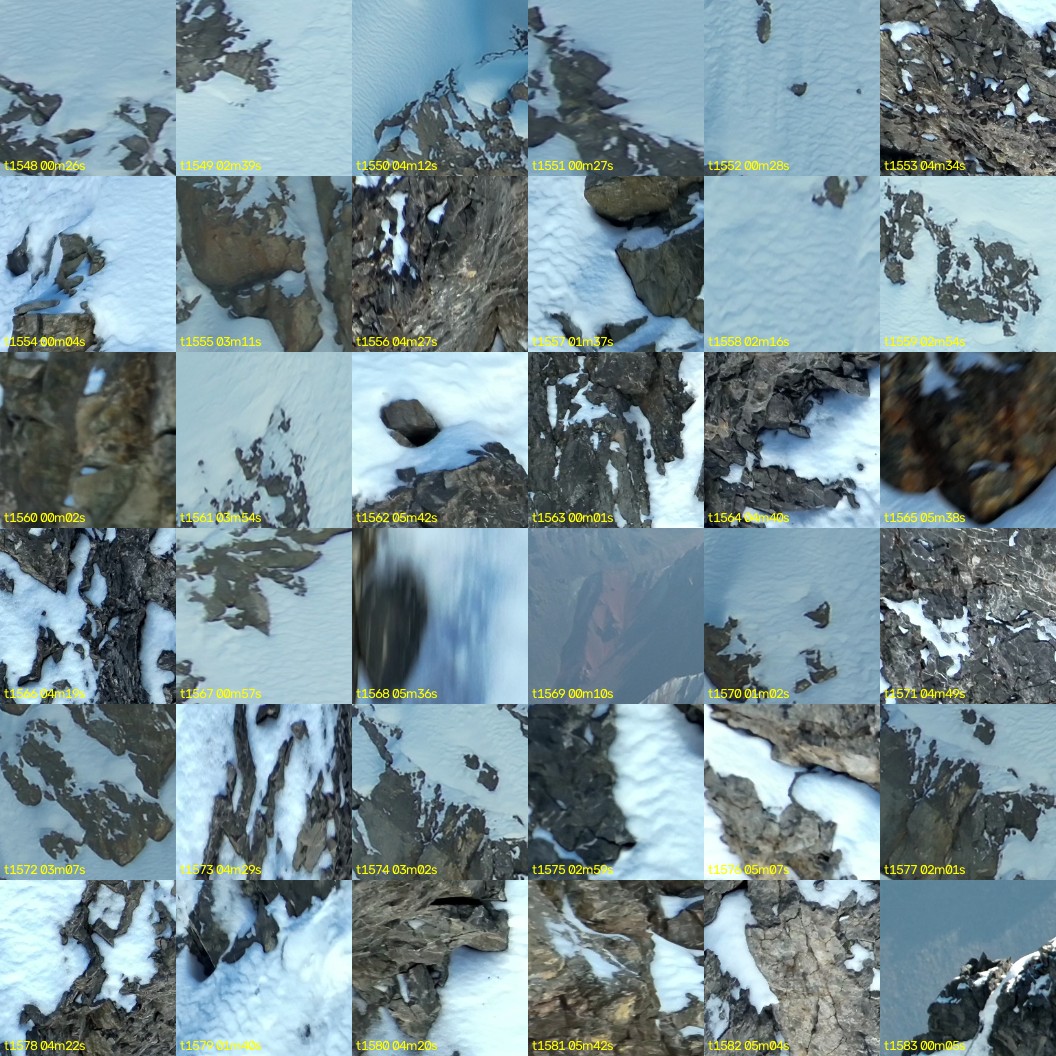 montage_43.jpg