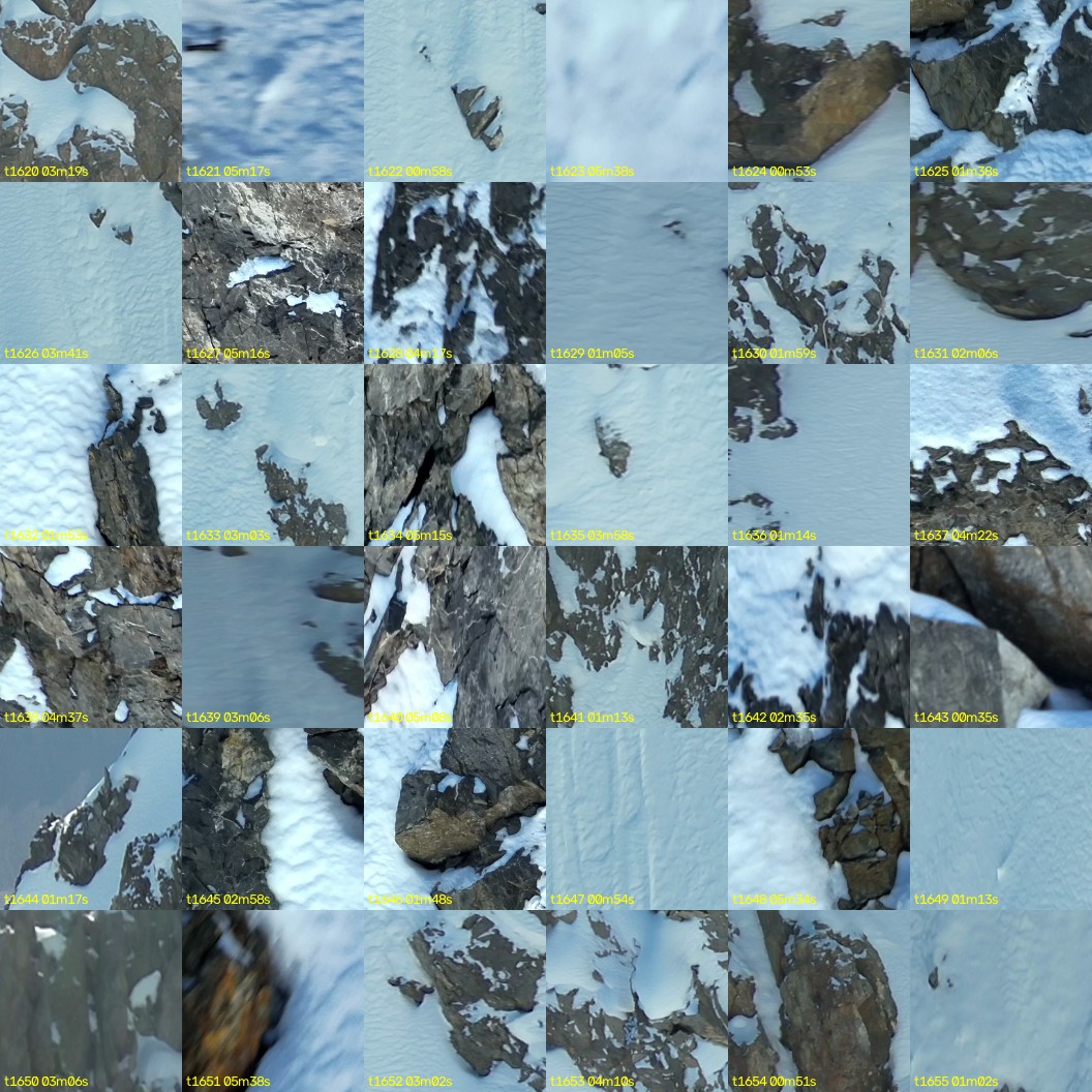 montage_45.jpg