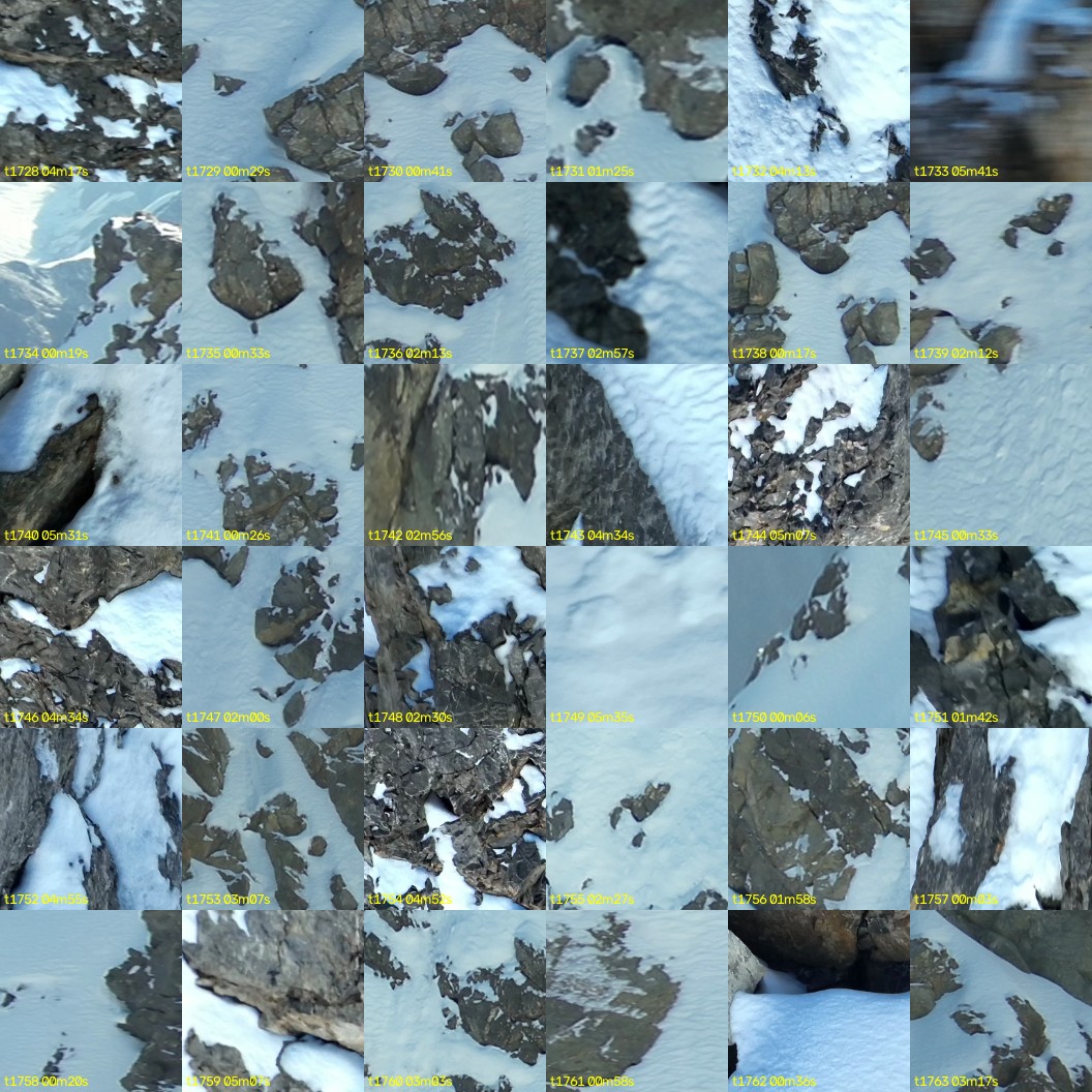 montage_48.jpg