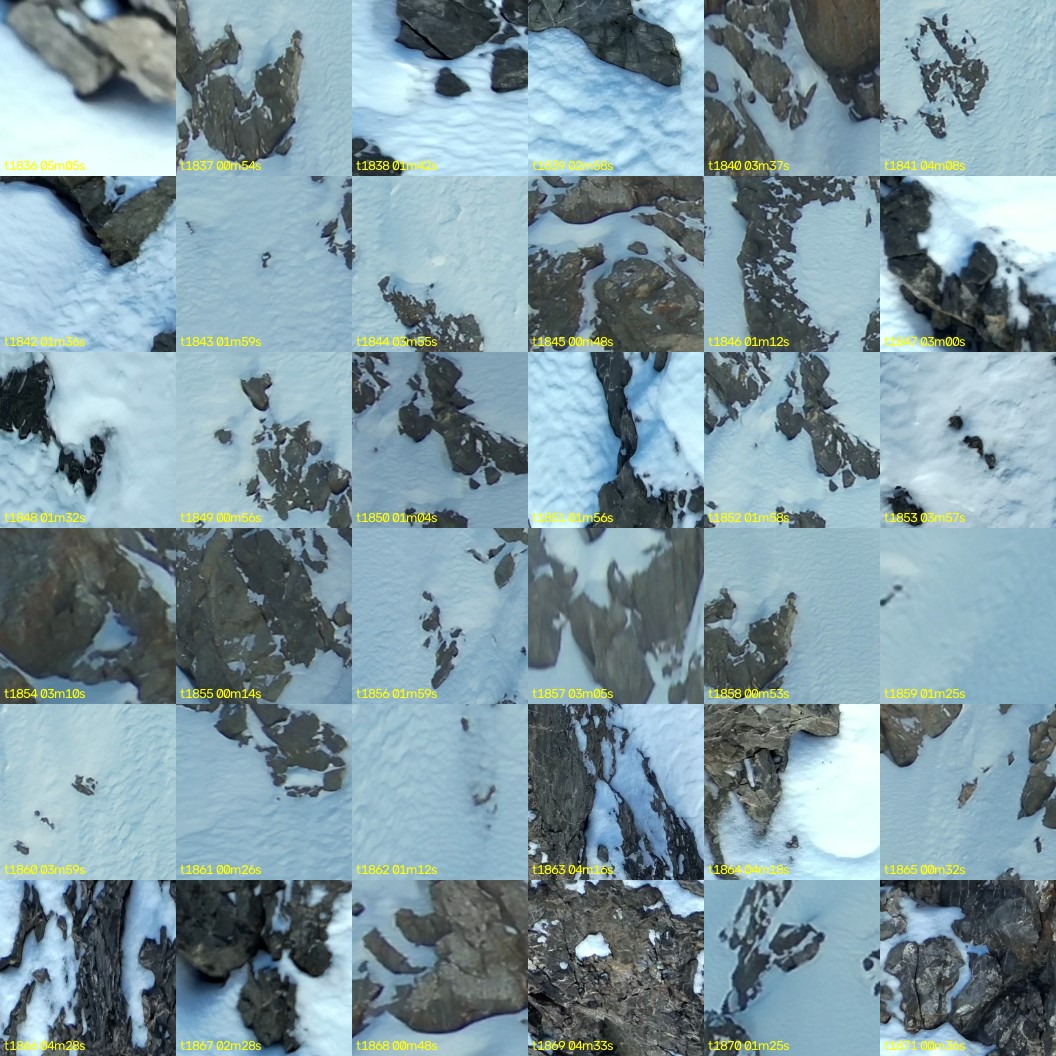 montage_51.jpg