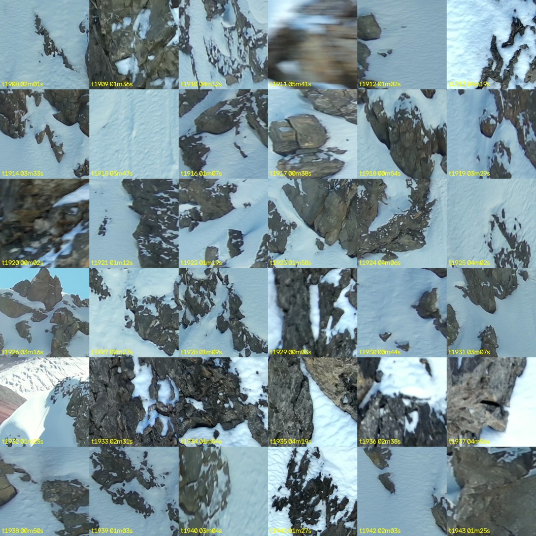 montage_53.jpg