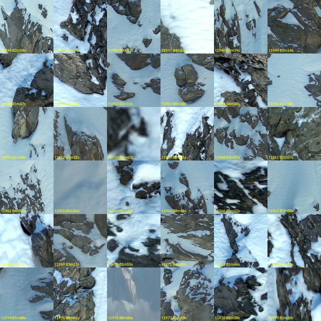 montage_54.jpg
