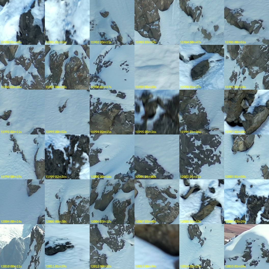 montage_55.jpg